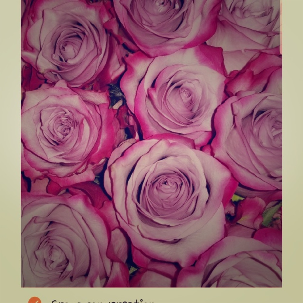 Meet your Posher, Melissa